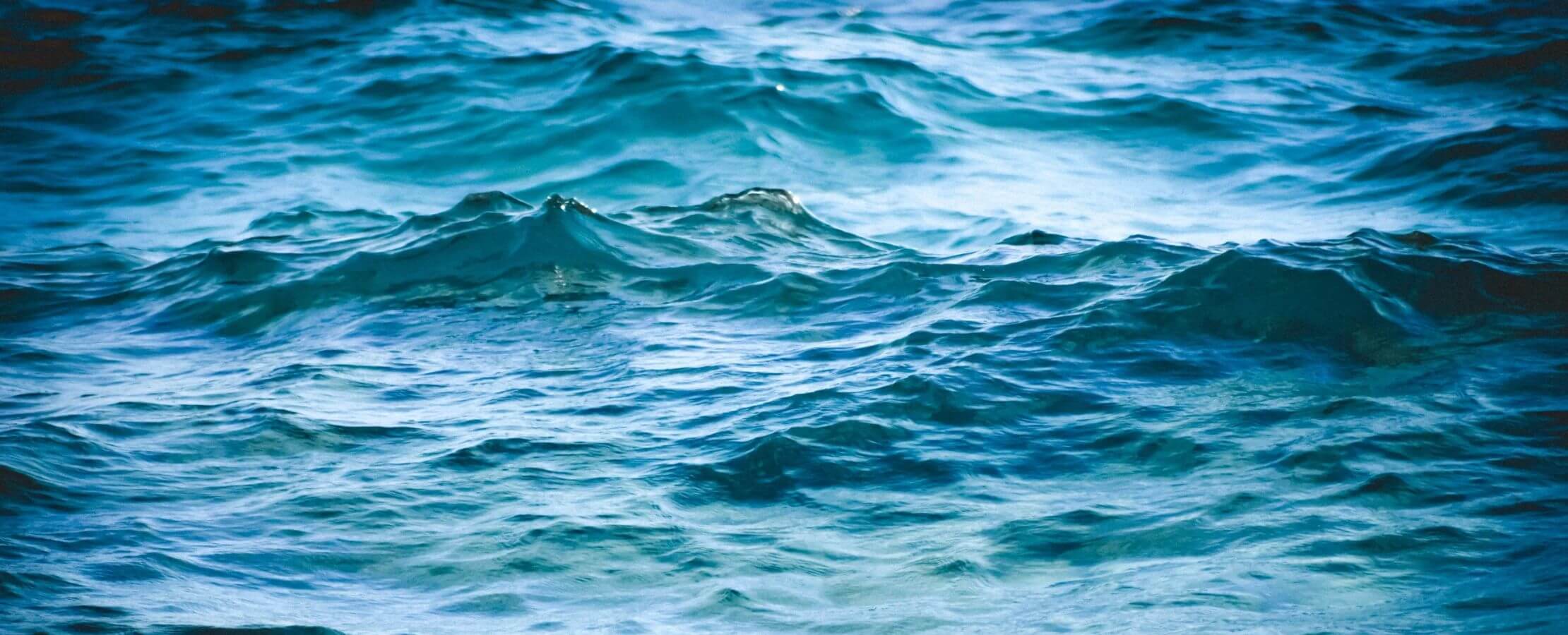 SWDS: un método científico y preciso para buscar agua